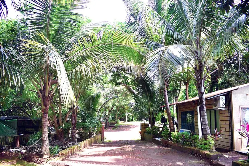 Apulki Beach Resort - Image 1