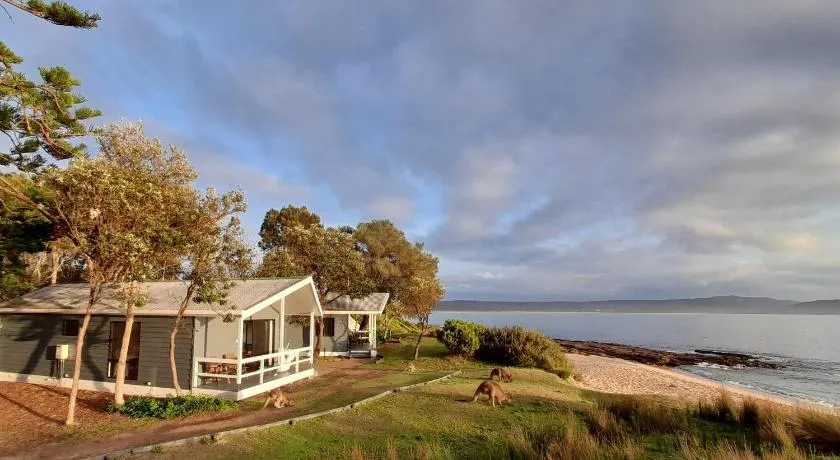 NRMA Murramarang Beachfront Holiday Resort - Image 1