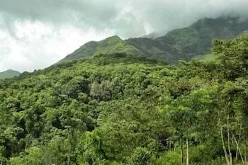 Banasura Hill Resort - Image 1