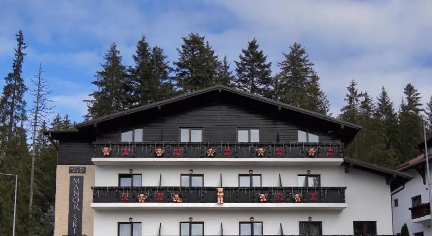 Manor Ski Hotel - Image 1