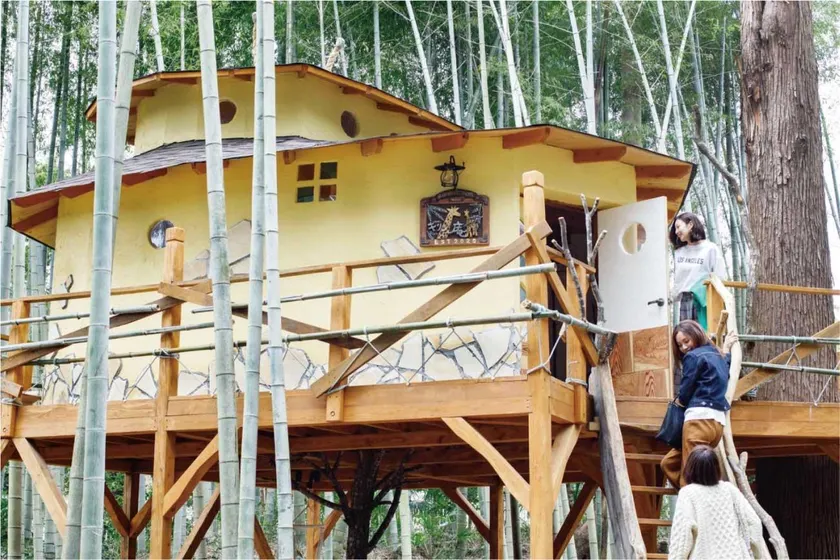 THE BAMBOO FOREST - Image 1