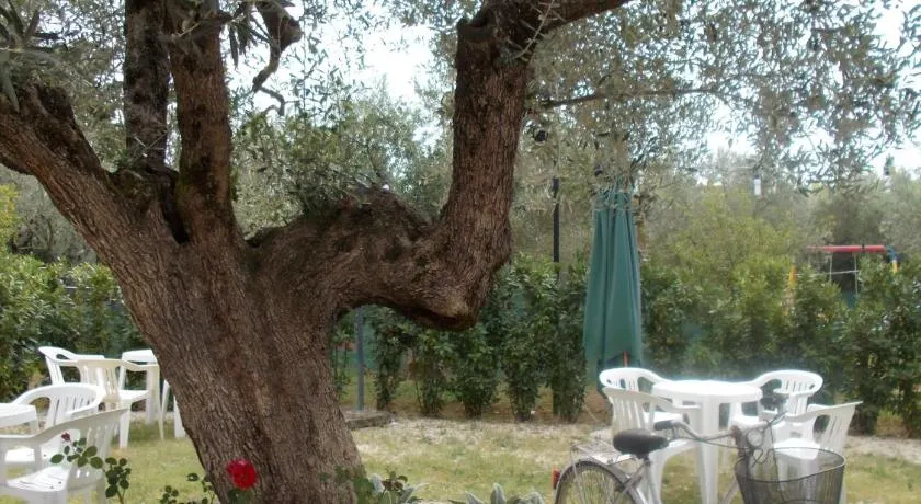 Casa Degli Ulivi - Image 1