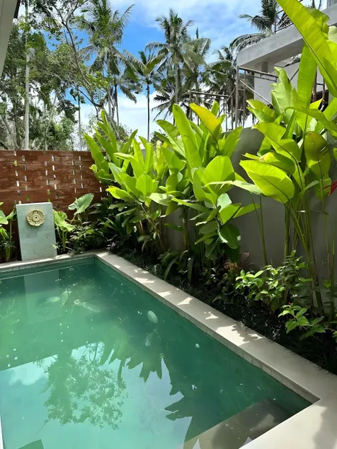 Macha Villa - Ubud Tropical Brand New Villa - Image 1