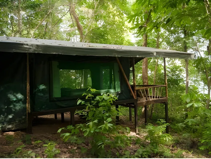 La Leona Eco Lodge - Image 1