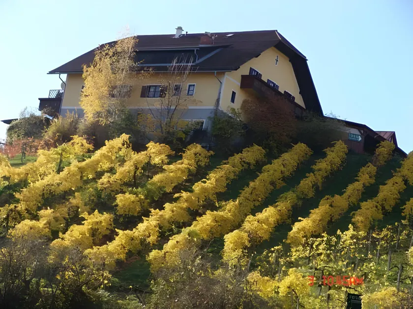 Boutique Hotel Toso Genussreich - Image 1