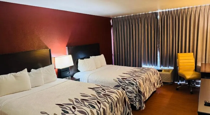 Lubbock Regency Inn - Image 1