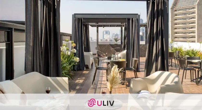 ULIV Pulse Roma - Condesa - Image 1