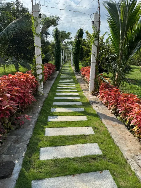 Amorah - Image 1