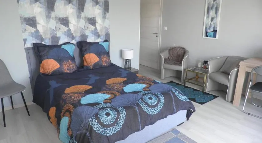 Grande chambre à louer - Image 1