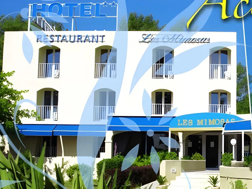 Les Mimosas - Image 1