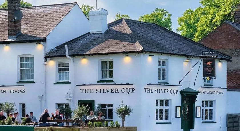 The Silver Cup - Image 1