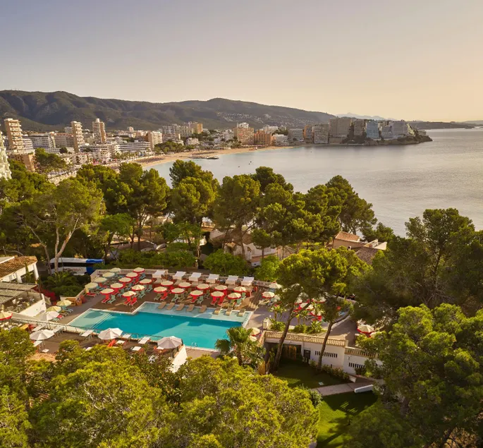 Alua Calvia - Image 1