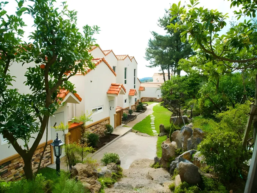 Jeju Memory Pension - Image 1