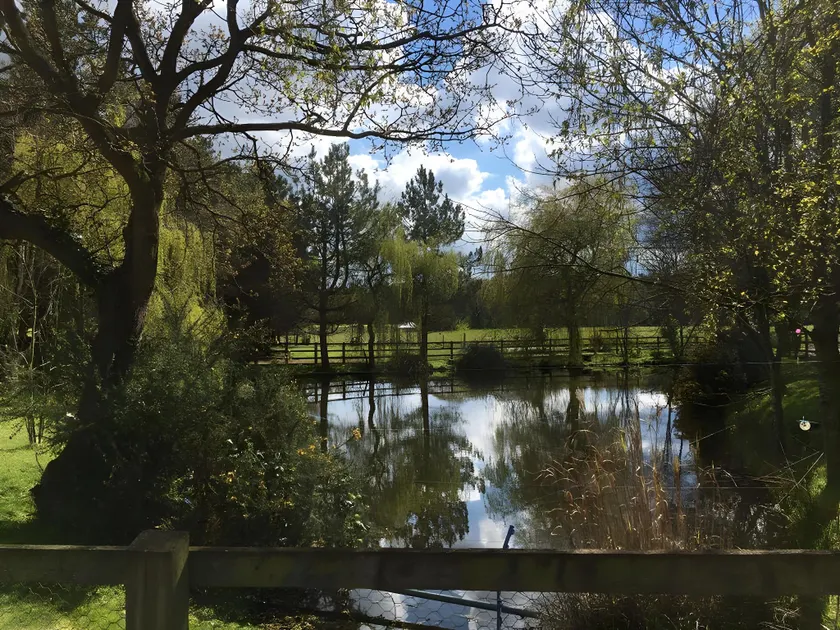 Woodman's Farm - Image 1