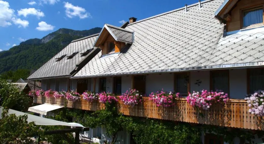 Holiday Home Katričnek - Image 1