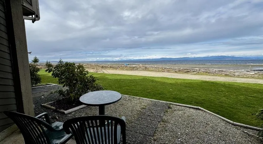 Beachfront King Bed Studio Suite - Image 1