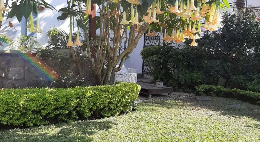 FIGTREE GUESTHOUSE - Image 1