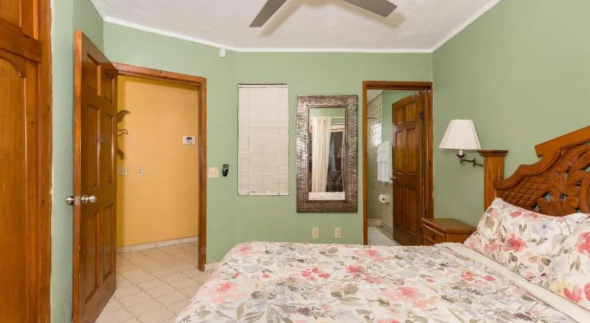 La Gaviota - Image 1