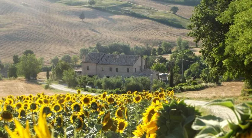 "La Casa degli ulivi Art B&B" - Image 1