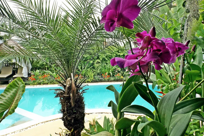 Homestay Chiangrai - Image 1