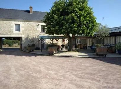 L'amandier - Image 1