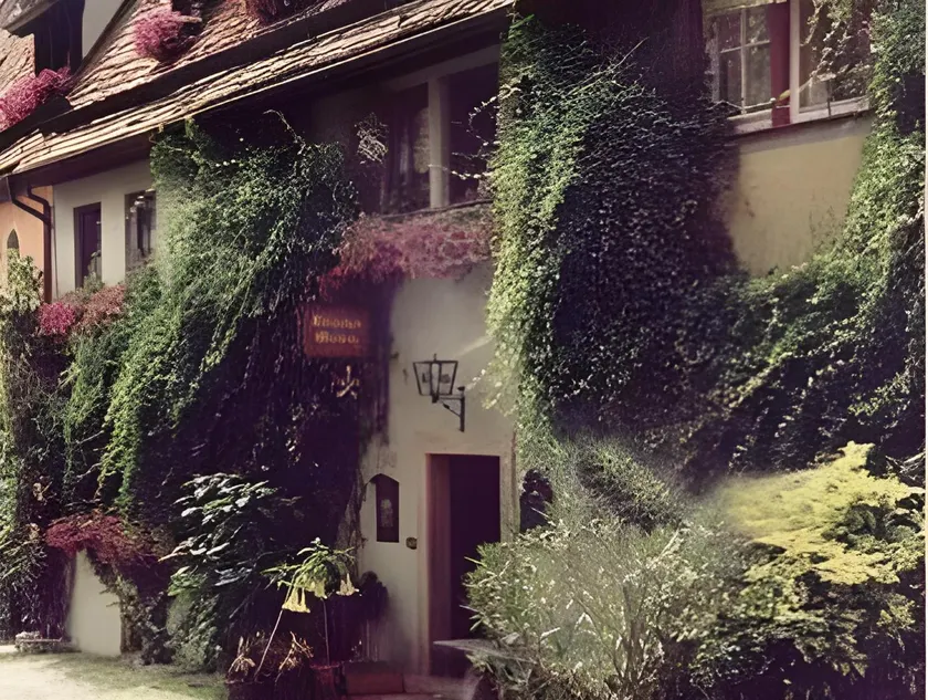 Altfraenkische Weinstube - Image 1