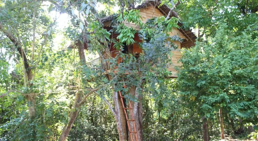 Tree House-Midigama - Image 1
