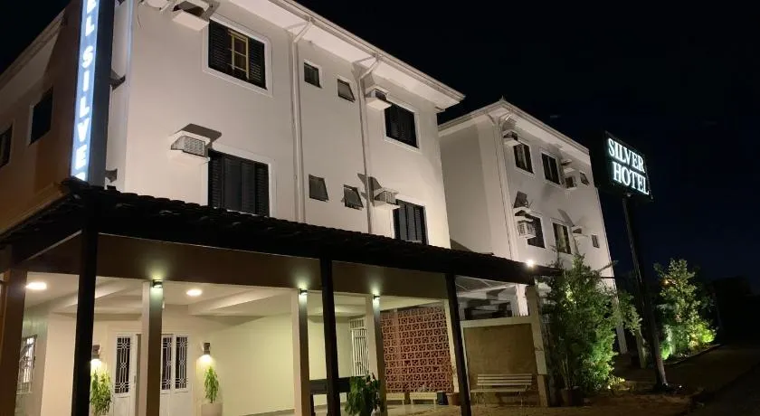 Hotel Silver - Image 1