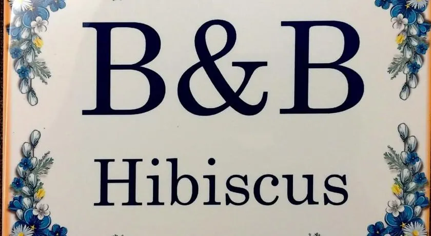 B&B Hibiscus - Image 1