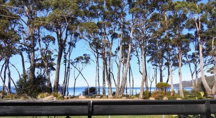 Sea Eagle at Roaring Beach - Image 1