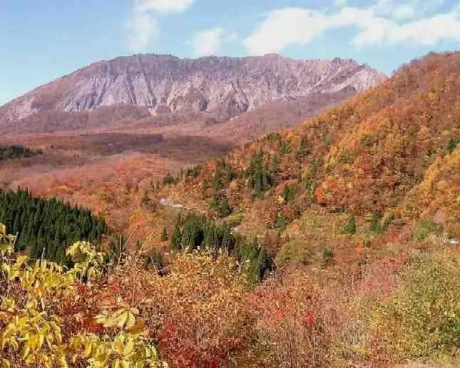 Pension Akemanomori - Image 1