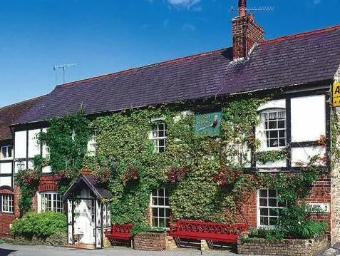 The Mulberry Inn - Image 1
