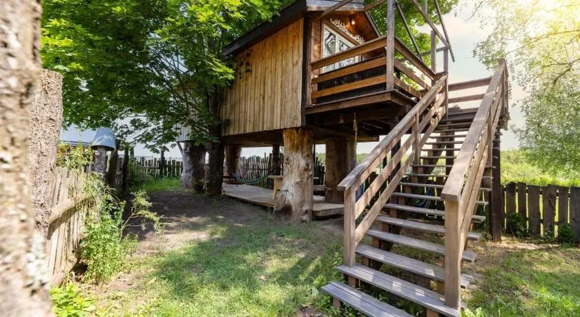 Podlasie Domek na drzewach - Image 1