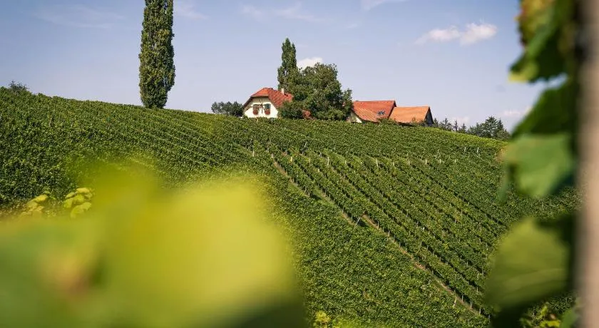 Weingut Leopold Dietrich - Image 1