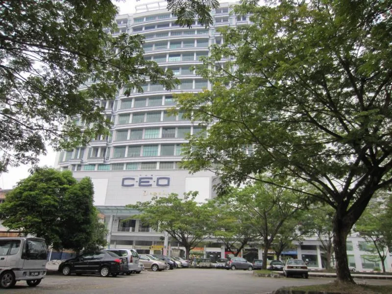 The CEO Duplex Studio Suite - Image 1