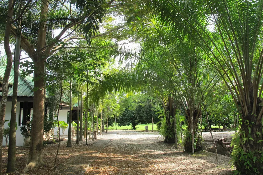Nimit Bungalow - Image 1