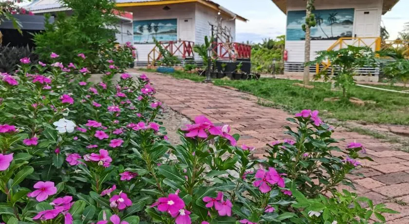 Coconut Garden Resort仙本那顺德人家棕榈园 - Image 1
