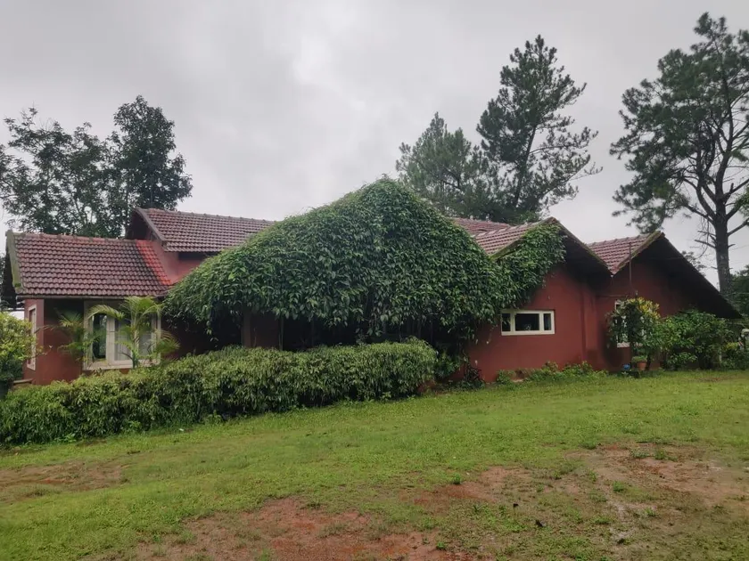 Amblyn Home stay Sakleshpur Amc Group - Image 1