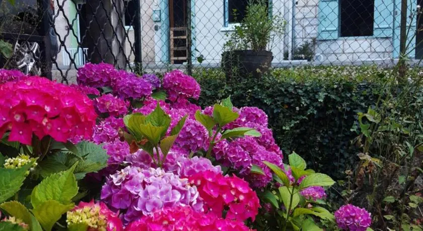 La Suzanne - Image 1