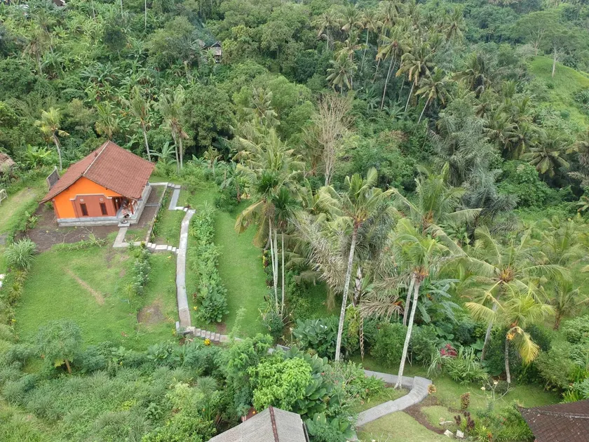 Cegeng Lestari Guesthouse - Image 1