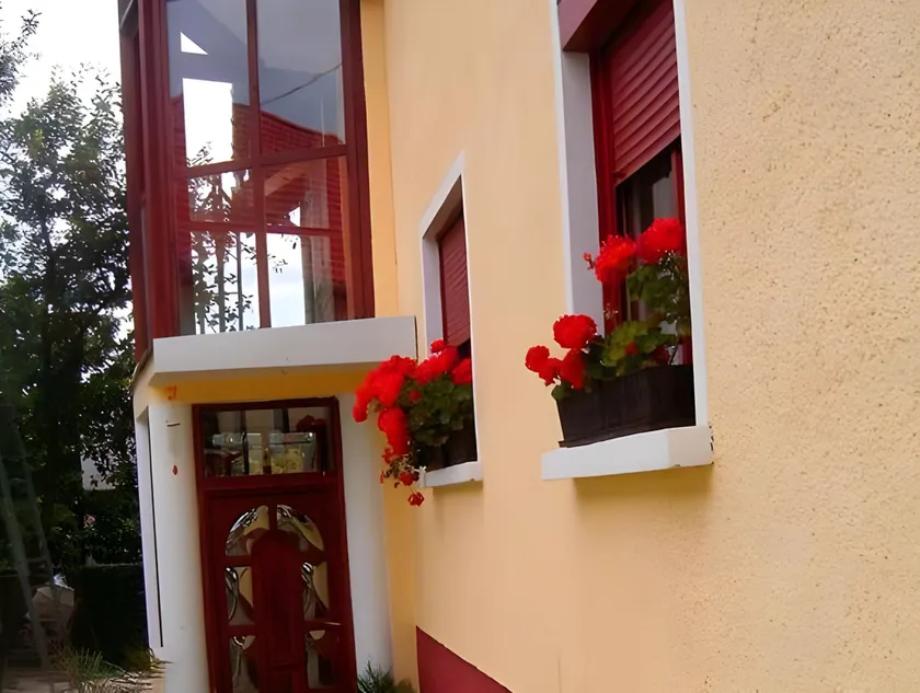 Palma Panzio - Image 1