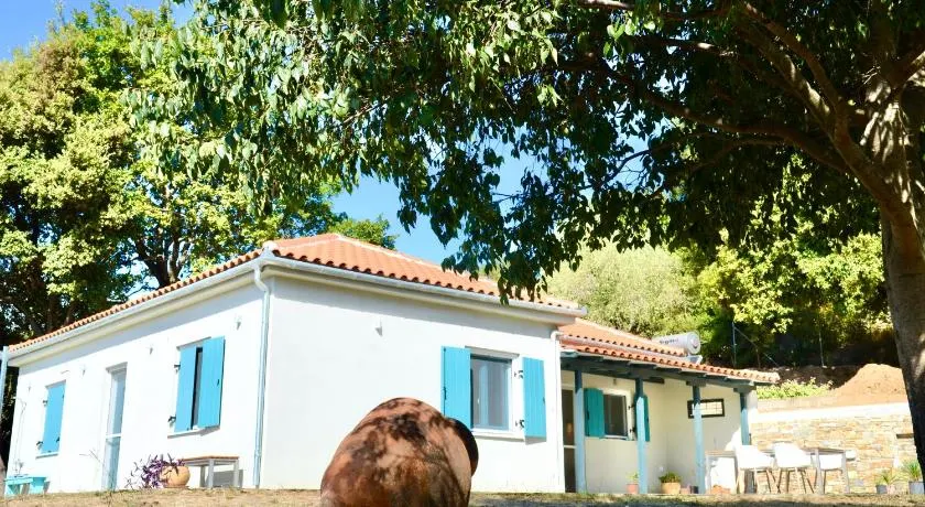 House Adelfótita - Image 1