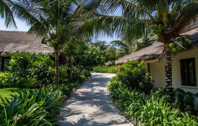 The Cliff Resort & Residences - Image 1