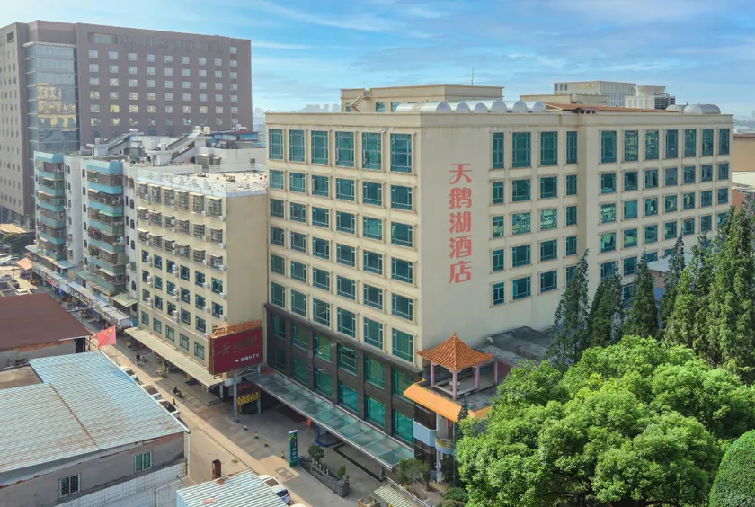 Swan Lake Hotel - Image 1