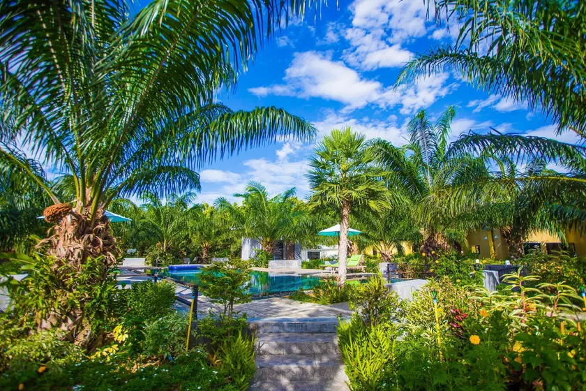 Palm Pran Resort - Image 1