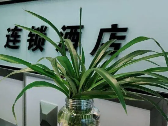 Qingmu Hotel (Nanjing Jiangdongbei Road Provincial Maternity and Child Health Care Hospital Shop) - Image 1