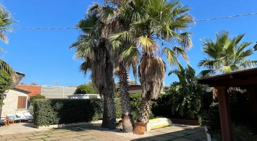 Una Civetta al Mare - Image 1