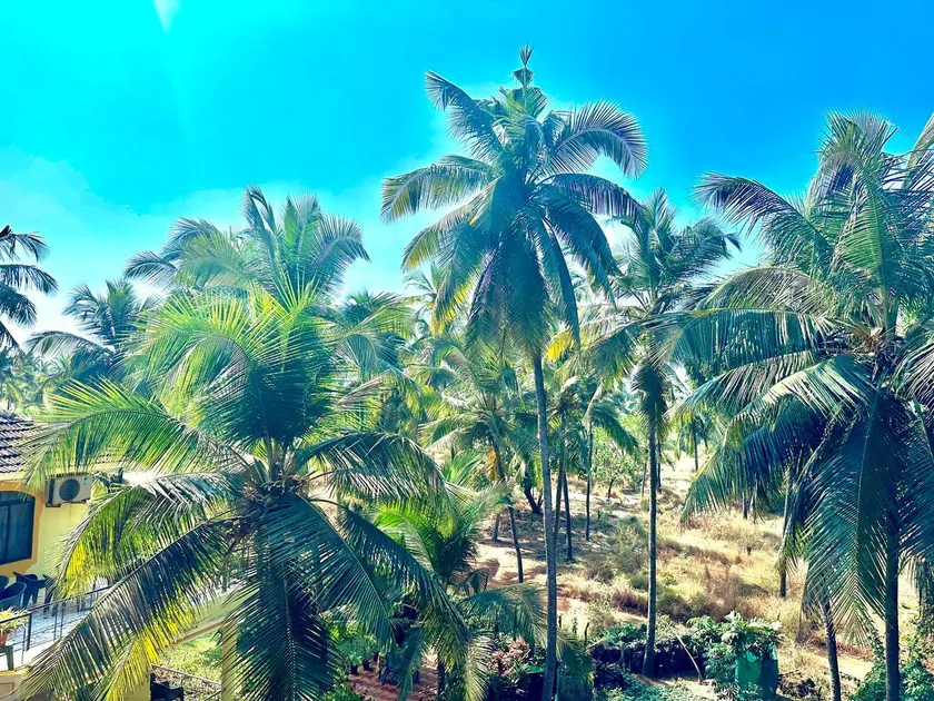 Nunes Sea Villa - Image 1