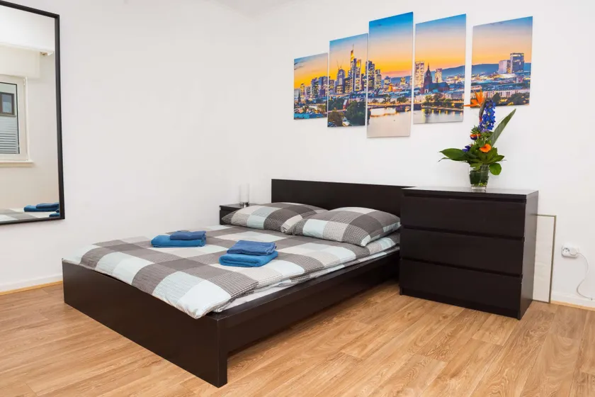 Großzügiges Apartment nahe Frankfurt - Image 1