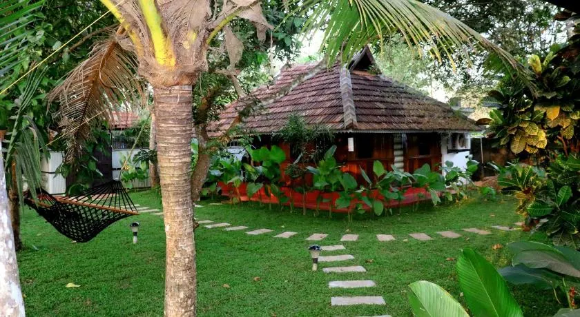 Ayurprana Marari - Image 1